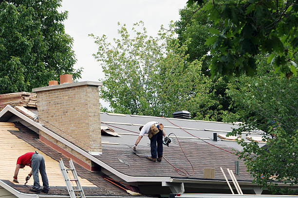 Best Roof Gutter Cleaning  in Riverdale, NJ